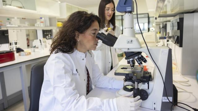 El estudio ha sido publicado en la revista científica Hepatology
