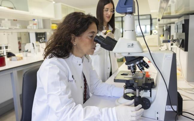 El estudio ha sido publicado en la revista científica Hepatology
