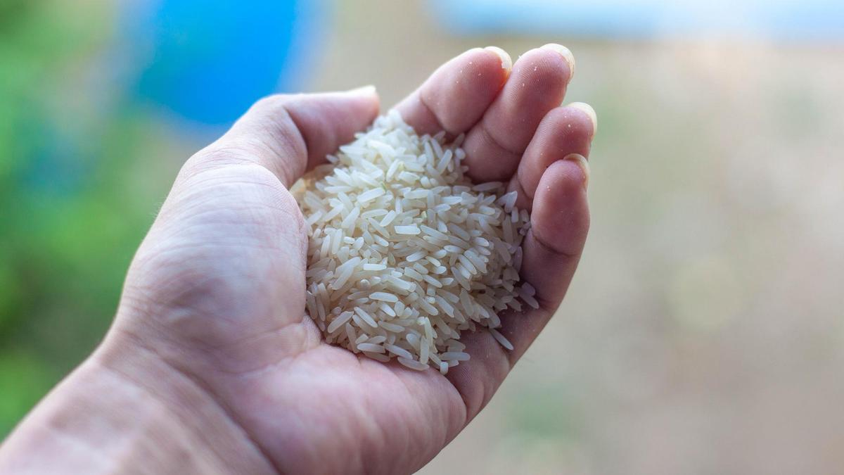 Se puede medir la ración de arroz poniendo la mano en forma de cazo.