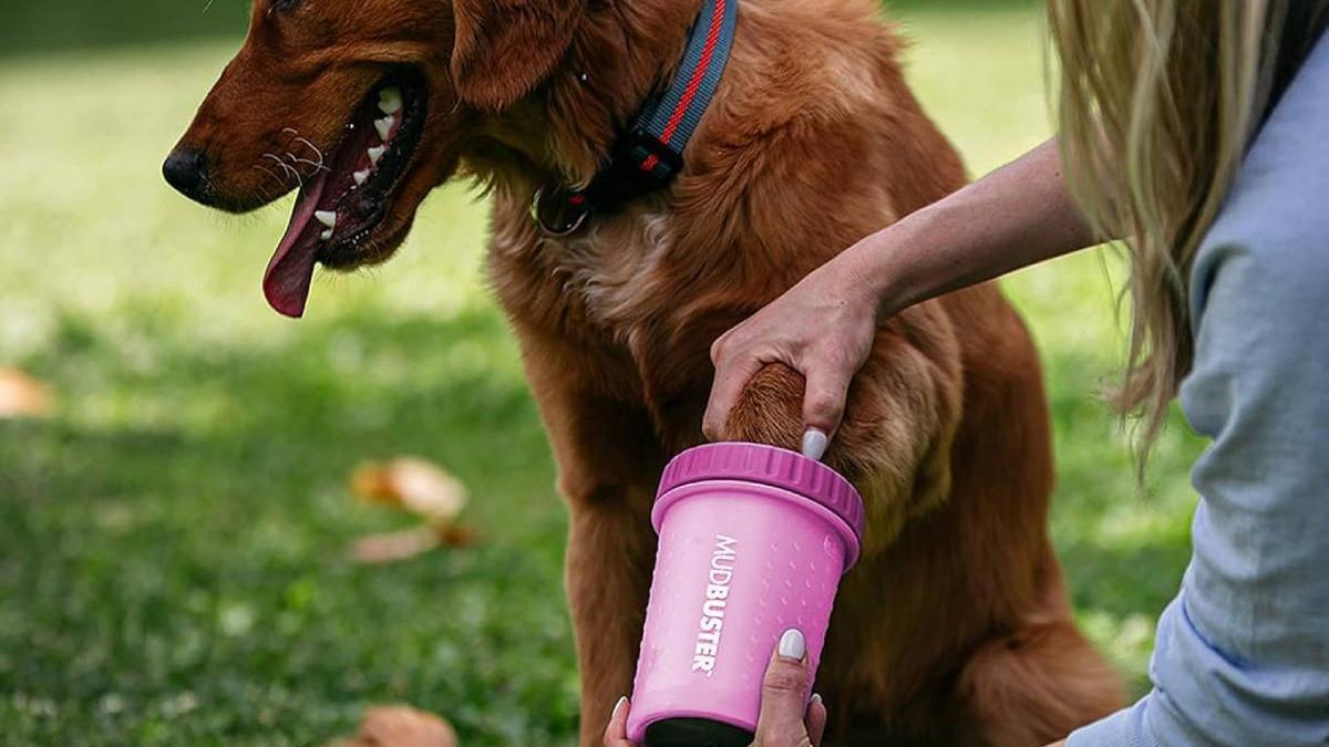 Dexas MudBuster, limpiador de patas para perros