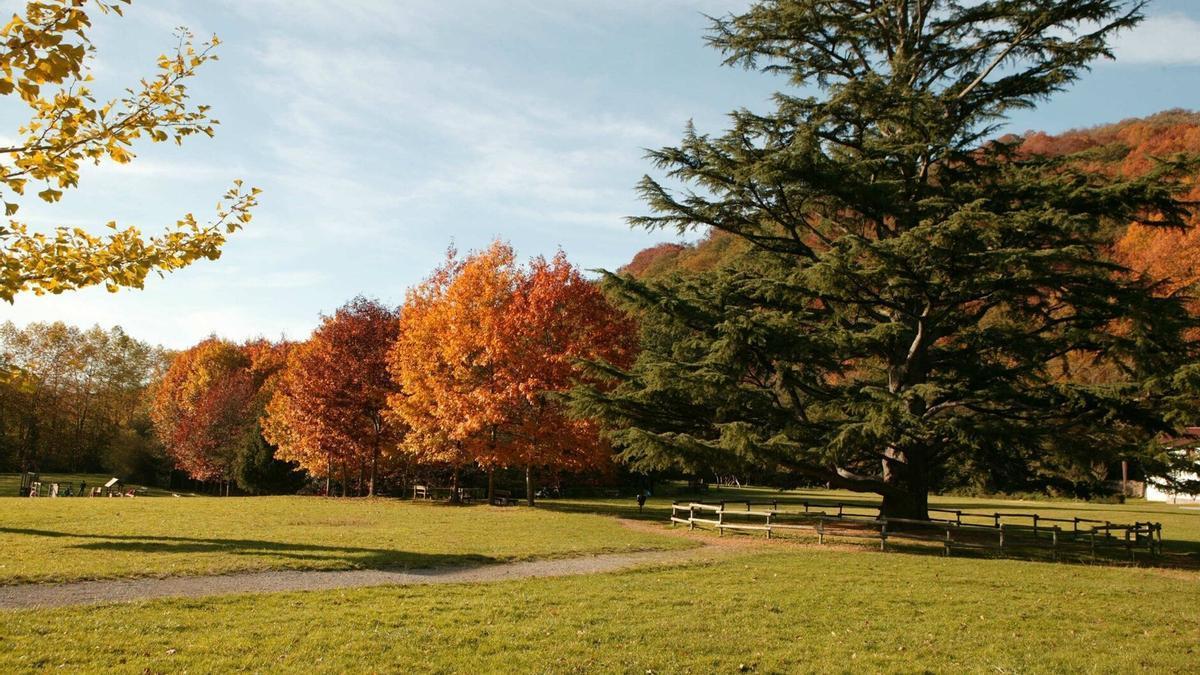 En imágenes: Los rincones más espectaculares de los parques naturales más famosos de Euskal Herria