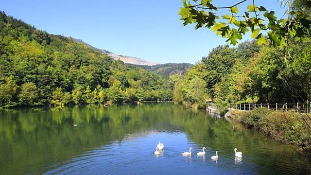 El parque de Mendikosolo es el pulmón verde del municipio de Arrigorriaga