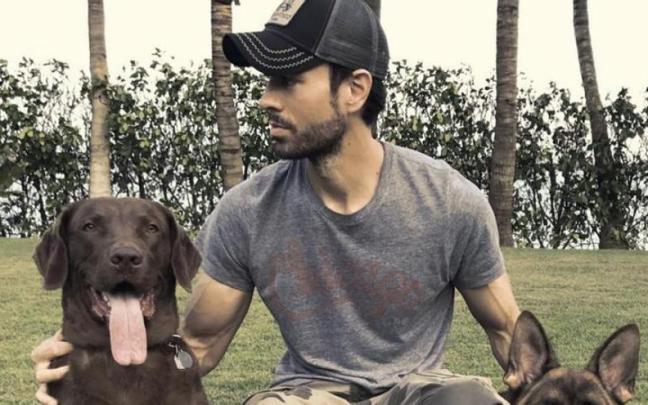 Enrique Iglesias junto a sus perros.