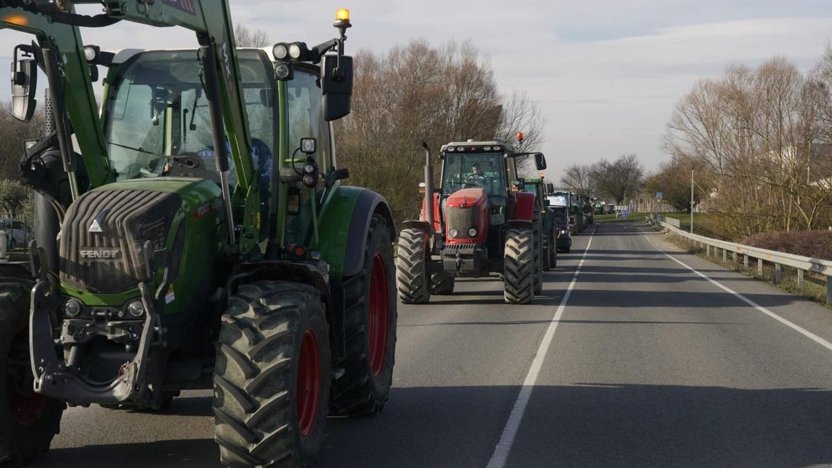 Imagen de una tractorada de agricultores en Gasteiz.