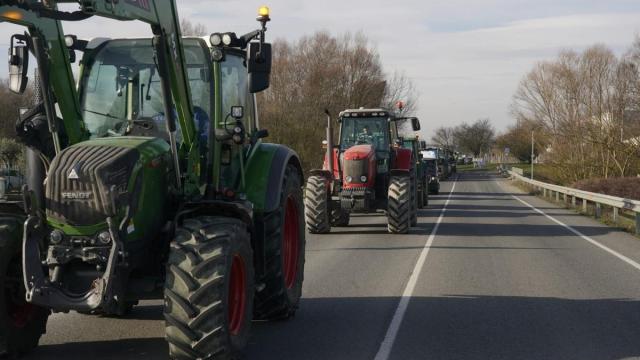 Imagen de una tractorada de agricultores en Gasteiz.