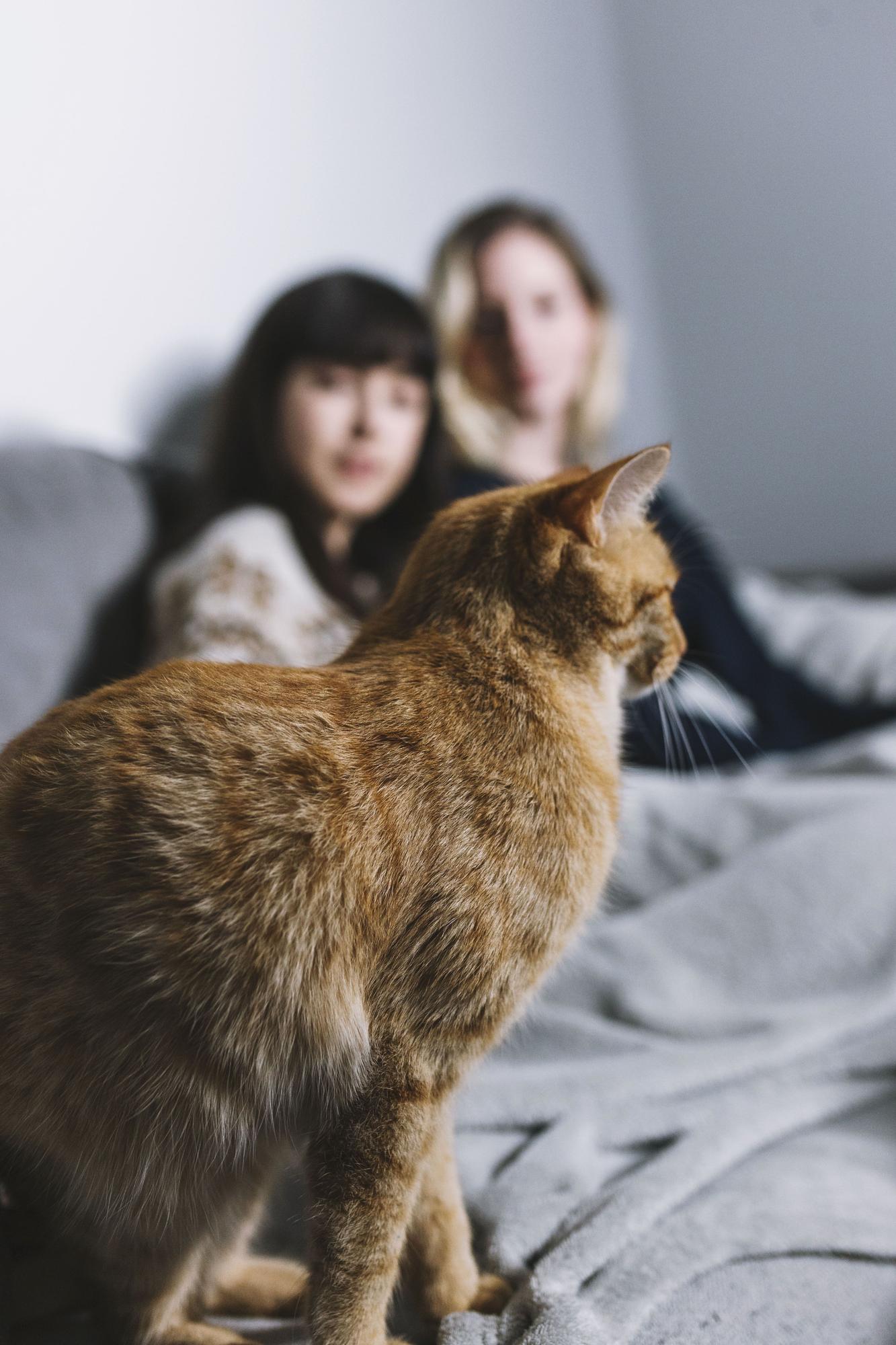 Un gato con unas chicas.