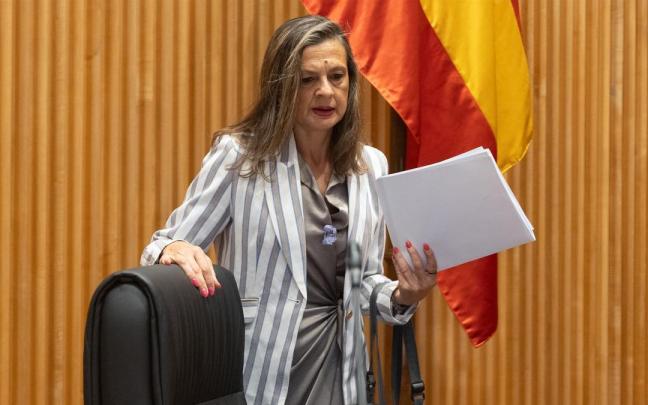 La delegada del Gobierno contra la Violencia de Género, Carmen Martínez Perza.