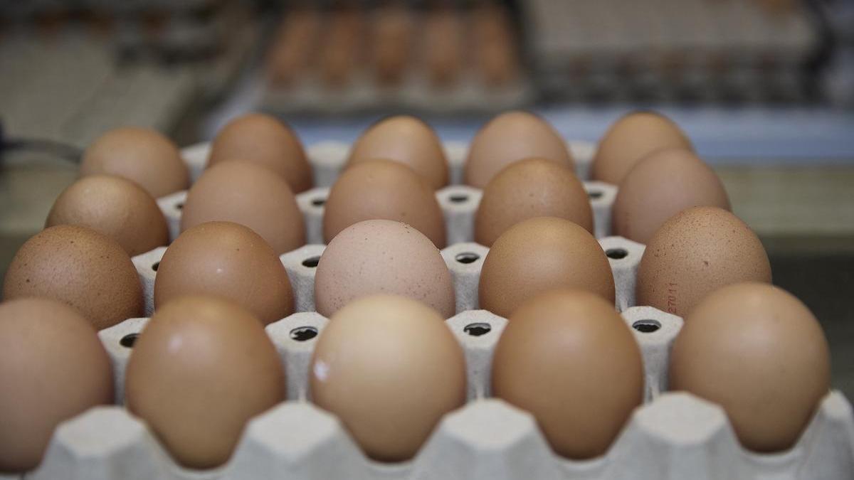 Huevos, café, carne de vacuno y chocolate disparan sus precios en lo que va de año
