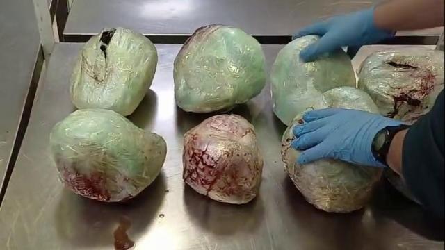 Varios ejemplares de pangolín muertos encontrados en el aeropuerto Adolfo Suáres-Madrid Barajas en una maleta procedente de Etiopía.
REMITIDA / HANDOUT por GUARDIA CIVIL
Fotografía remitida a medios de comunicación exclusivamente