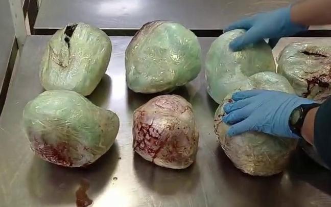 Varios ejemplares de pangolín muertos encontrados en el aeropuerto Adolfo Suáres-Madrid Barajas en una maleta procedente de Etiopía.
REMITIDA / HANDOUT por GUARDIA CIVIL
Fotografía remitida a medios de comunicación exclusivamente