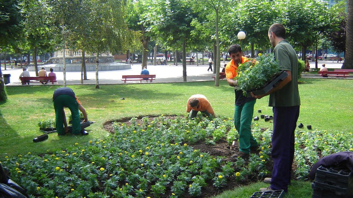 Favorecer el empleo local.