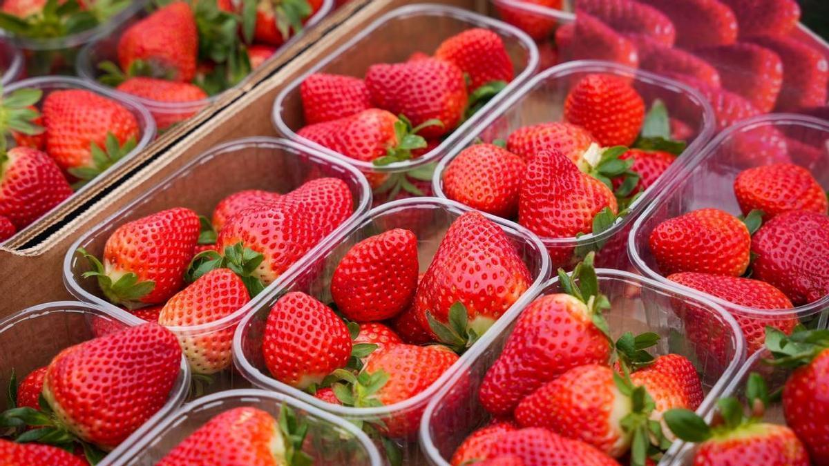 ¿Qué pasa si comes fresas contaminadas con hepatitis A?