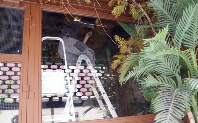 Retiran la decoración artificial del 'Burro Canaglia' de Bilbao