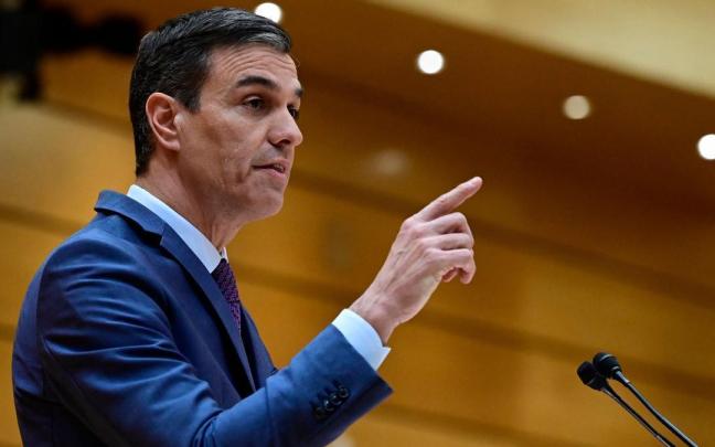 Pedro S&aacute;nchez en el Senado