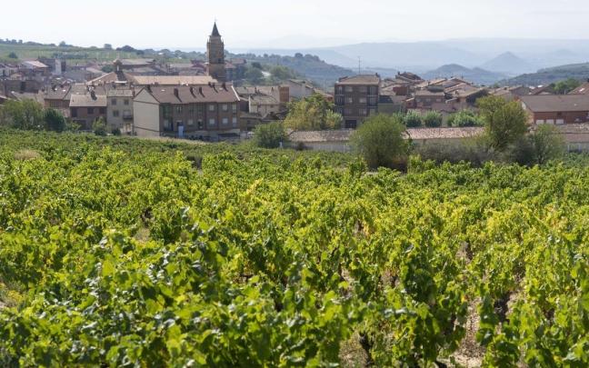 Las altas temperaturas y los eventos extremos como lluvias torrenciales tienen un efecto directo en los cultivos de la CAV.
