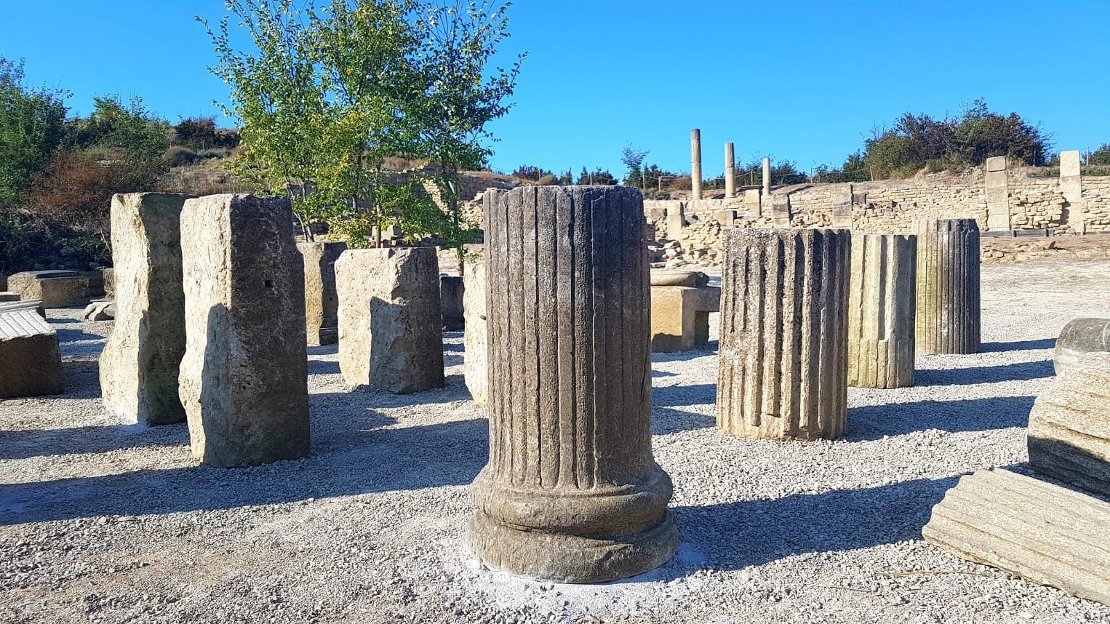 Elementos arquitectónicos y ornamentales del foro de Santa Criz.