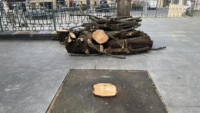 Operarios retiraron este lunes el árbol seco de la Herriko Plaza.