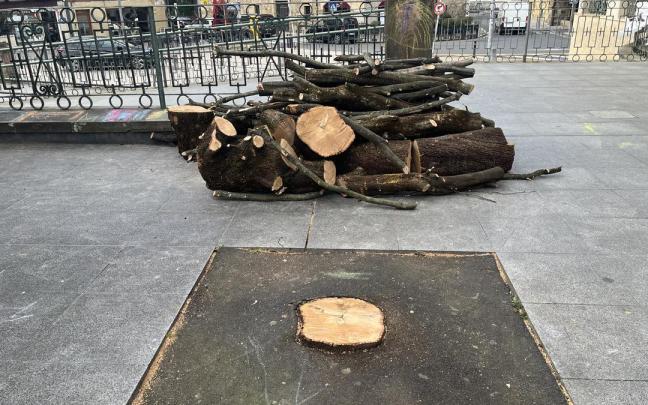 Operarios retiraron este lunes el árbol seco de la Herriko Plaza.