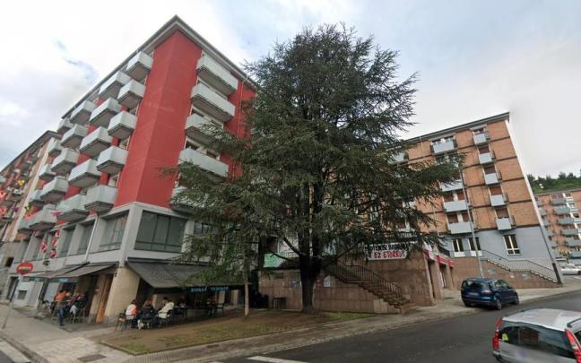El árbol que hasta ahora se levantaba en la zona verde junto al bar Ziorla.