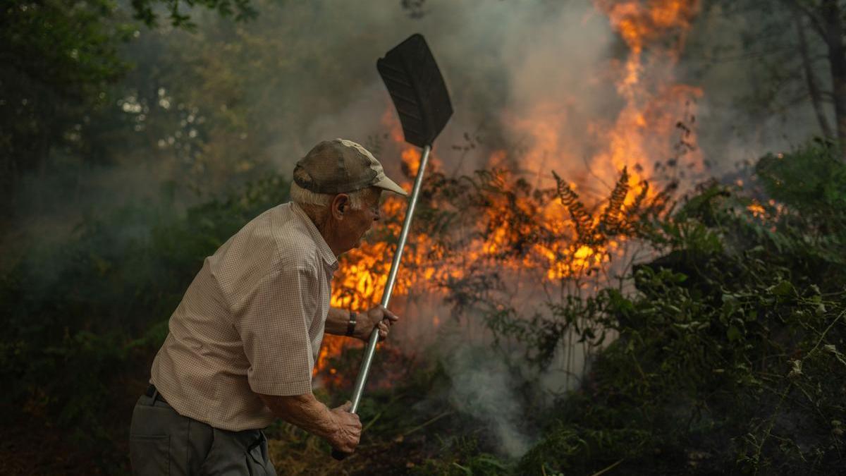 Un vecino de la aldea de Pareisás lucha contra en fuego en el incendio forestal que permanece activo en A Pobra de Trives, Ourense.
