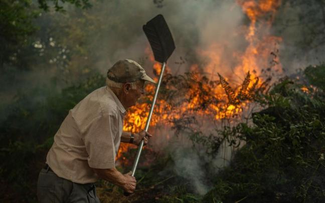 Un vecino de la aldea de Pareisás lucha contra en fuego en el incendio forestal que permanece activo en A Pobra de Trives, Ourense.