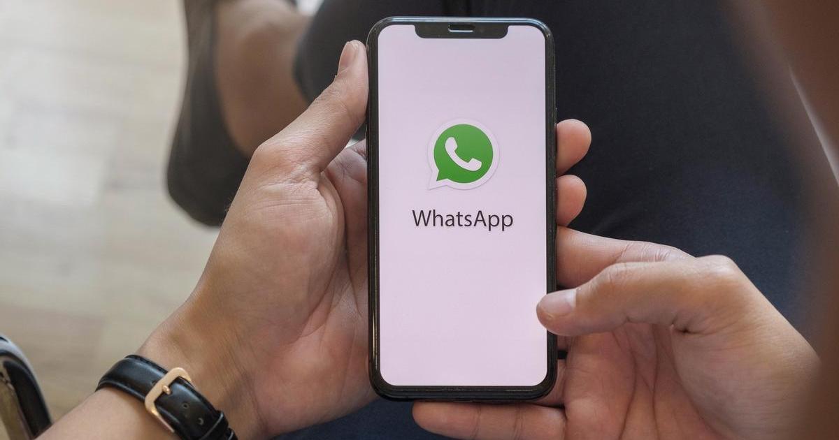 Of all your WhatsApp contacts, this is the smartest one