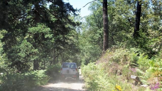 Pista forestal en Amurrio