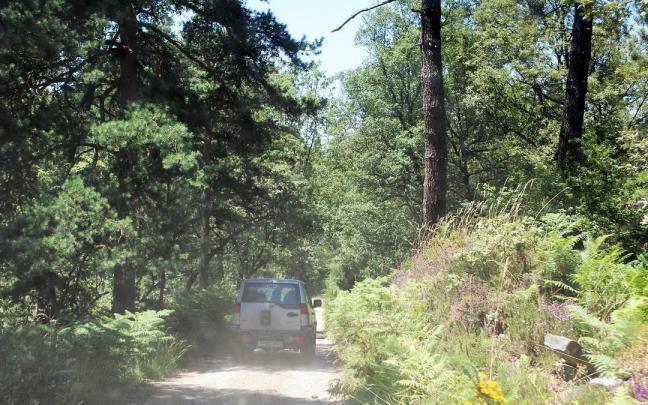 Pista forestal en Amurrio
