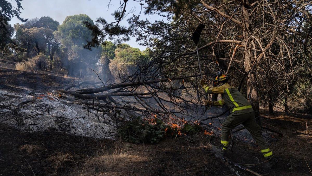 Un bombero trabaja en las tareas de extinción del incendio forestal en la Sierra Oeste de Madrid, en los alrededores del Pantano de San Juan, a 28 de julio de 2026, en Madrid