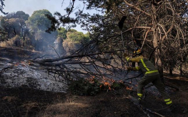Un bombero trabaja en las tareas de extinción del incendio forestal en la Sierra Oeste de Madrid, en los alrededores del Pantano de San Juan, a 28 de julio de 2026, en Madrid