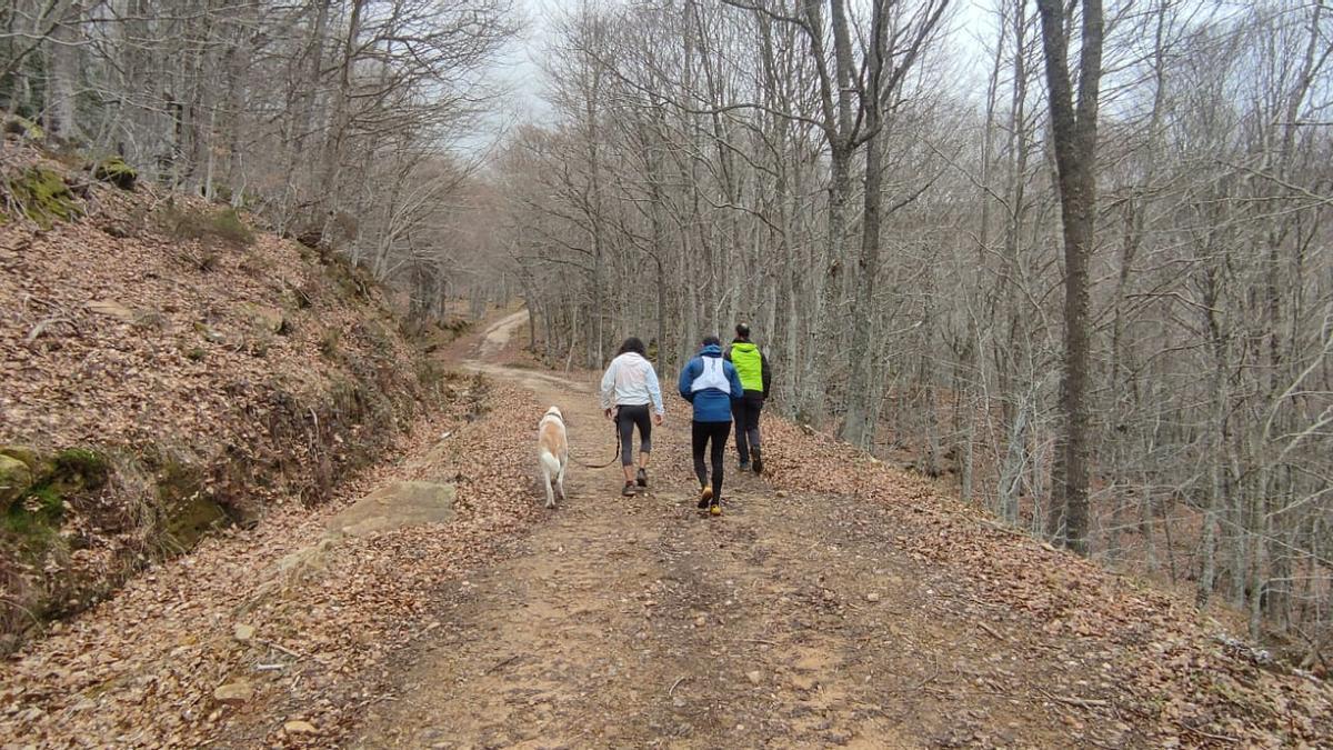 En Imagenes: Por los montes de Espinosa de los Monteros