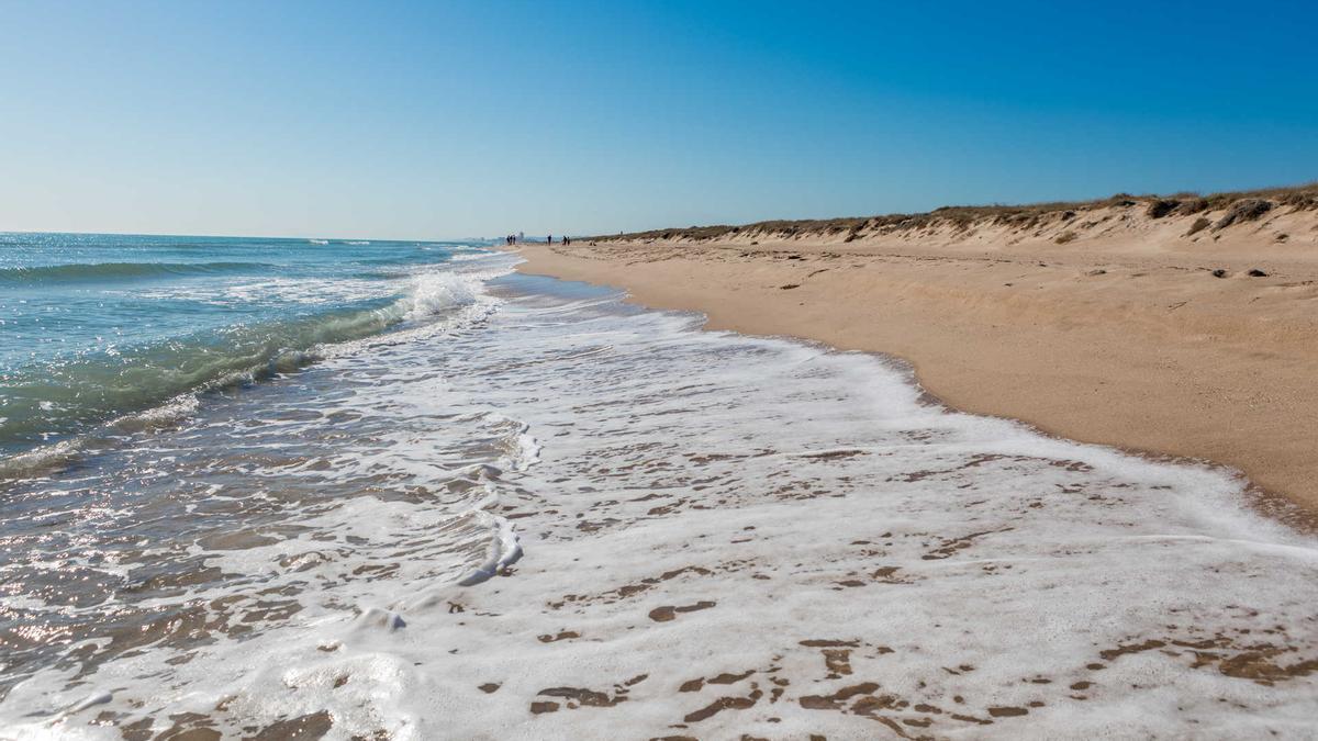 La playa de El Saler ofrece largos paseos sobre arena fina y blanca.