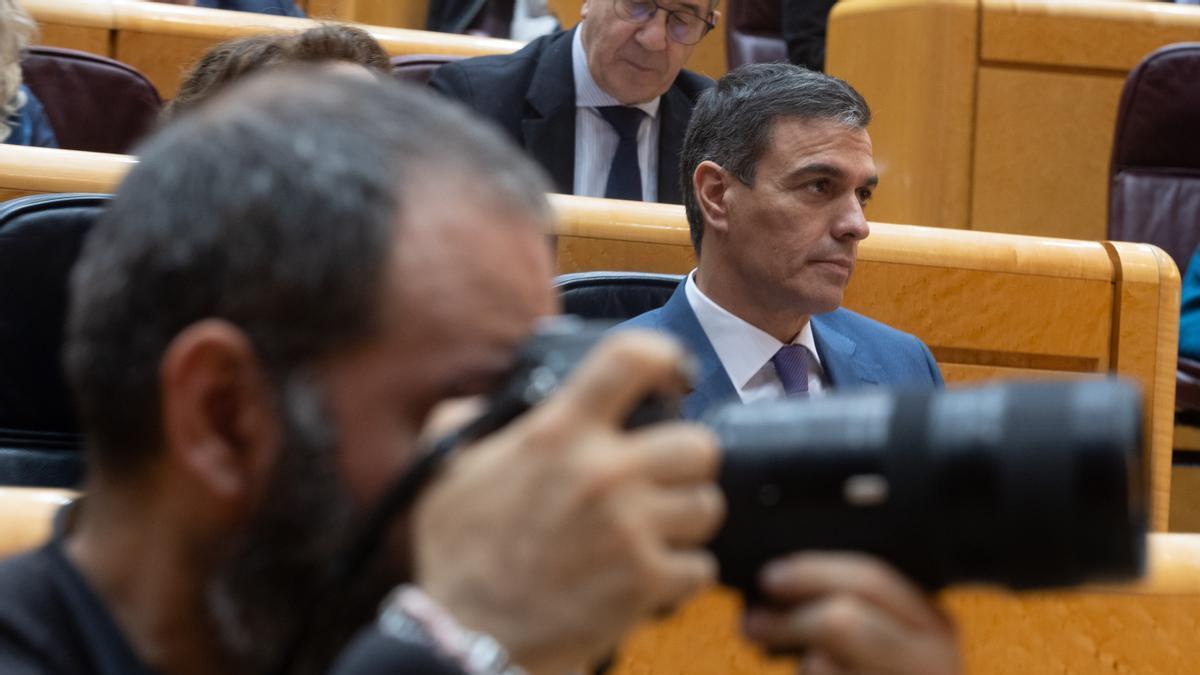 El presidente del Gobierno español, Pedro Sánchez, en un pleno del Senado.