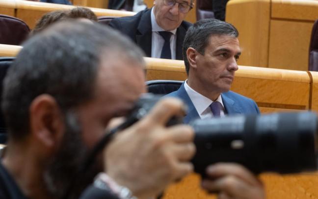 El presidente del Gobierno español, Pedro Sánchez, en un pleno del Senado.