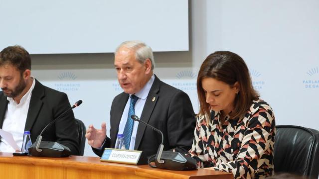 El presidente de la Diputación de Lugo, José Tomé.