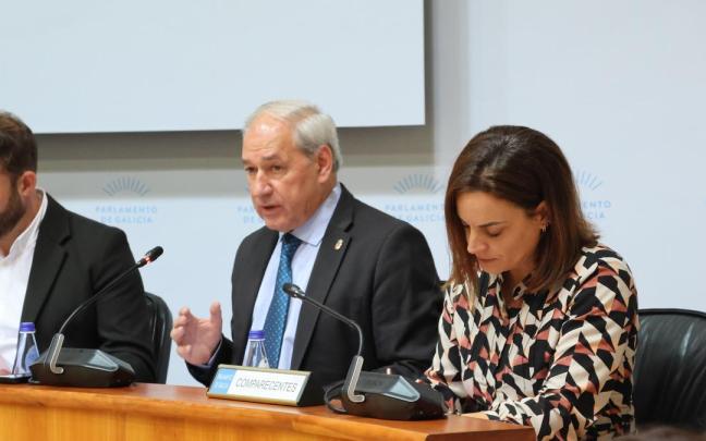 El presidente de la Diputación de Lugo, José Tomé.