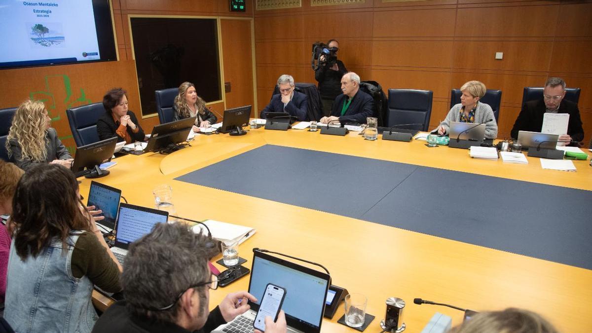 Comisión de Salud del Parlamento Vasco.