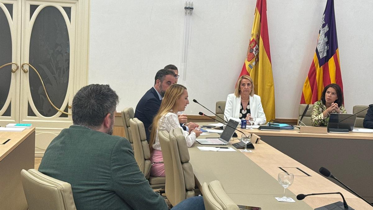 La portavoz de Vox en la comisión de investigación, Patricia de las Heras, durante la exposición de conclusiones.