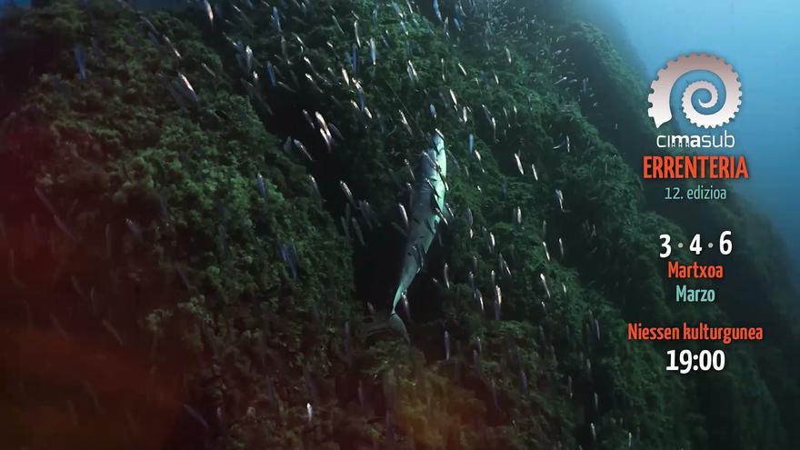 Vídeo de presentación del Cimasub