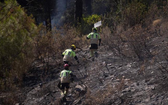 Bomberos trabajan en el incendio de Niebla