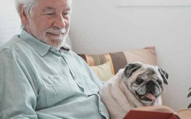 Un hombre y su ancinao perros disfrutan de un rato juntos en el sofá. / Freepik Un hombre y su ancinao perros disfrutan de un rato juntos en el sofá.