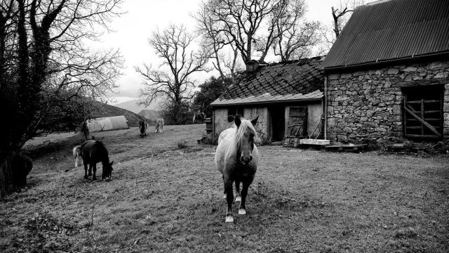 Una de las fotografías de los caseríos que engrosan el proyecto presentado por el atxabaltarra Jon Ander Alberdi. / Jon Ander Alberdi. Una de las fotografías de los caseríos que engrosan el proyecto presentado por el atxabaltarra Jon Ander Alberdi.