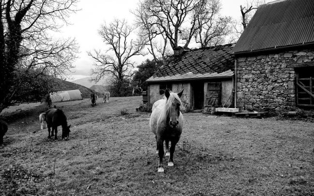 Una de las fotografías de los caseríos que engrosan el proyecto presentado por el atxabaltarra Jon Ander Alberdi. / Jon Ander Alberdi. Una de las fotografías de los caseríos que engrosan el proyecto presentado por el atxabaltarra Jon Ander Alberdi.