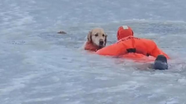 Un momento del rescate.