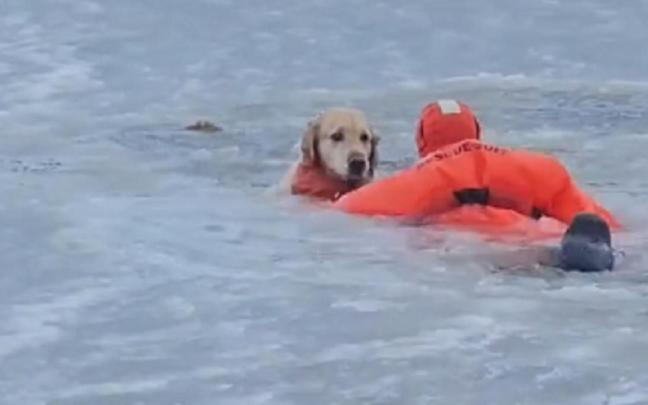 Un momento del rescate.