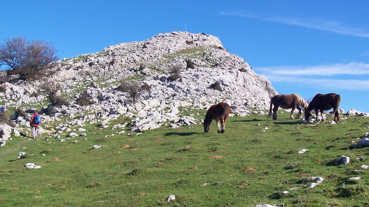 Bajo la peña de Erlo y su cruz