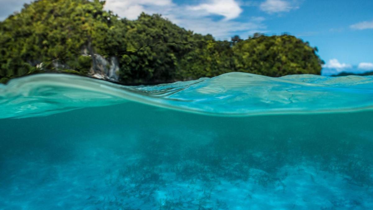 El Niño es un fenómeno periódico que produce un calentamiento a gran escala de las aguas superficiales de las partes central y oriental del Pacífico ecuatorial.