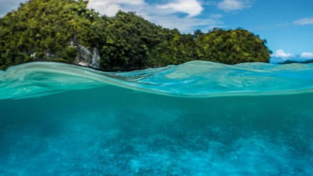 El Niño es un fenómeno periódico que produce un calentamiento a gran escala de las aguas superficiales de las partes central y oriental del Pacífico ecuatorial.