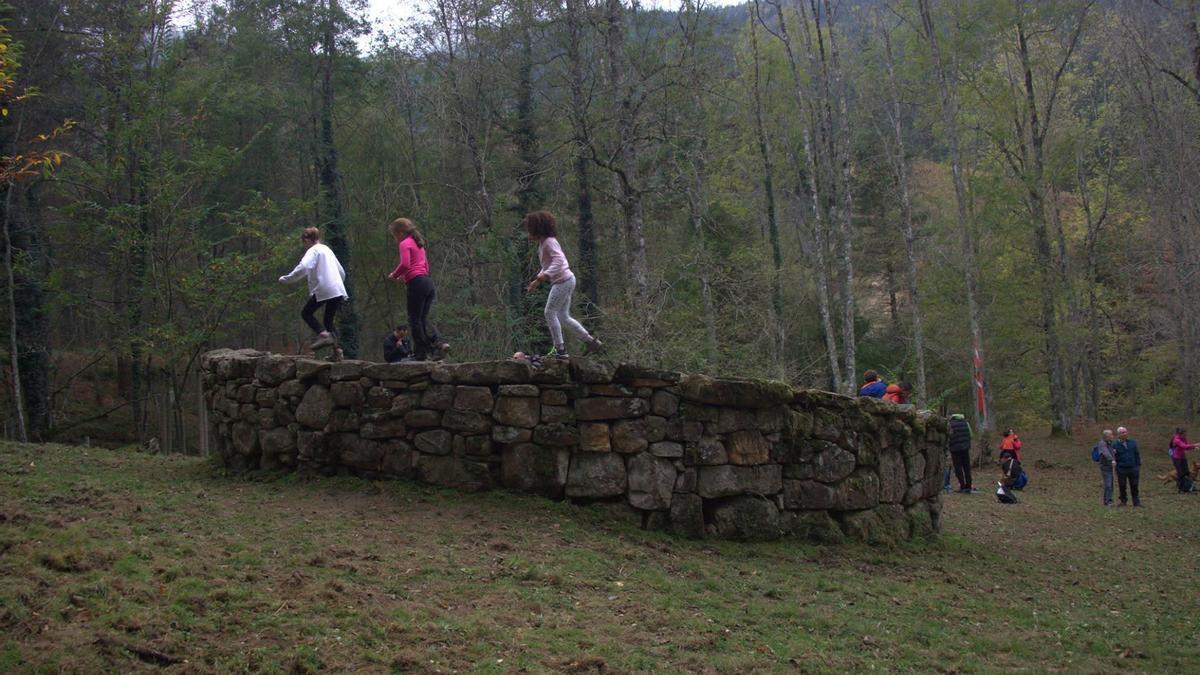 La ericera recuperada de mayor tamaño es la de Irakusigieta