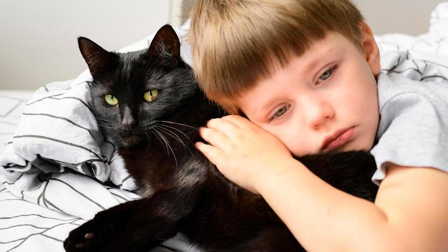 Un niño abraza a su gato.